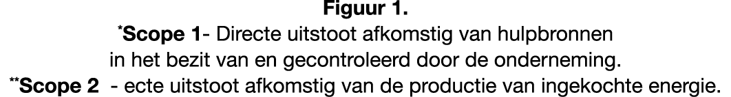Figuur 1. *Scope 1 Directe uitstoot afkomstig van hulpbronnen in het bezit van en gecontroleerd door de onderneming. ...