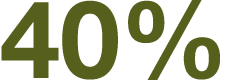 40% 