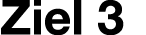 Ziel 3